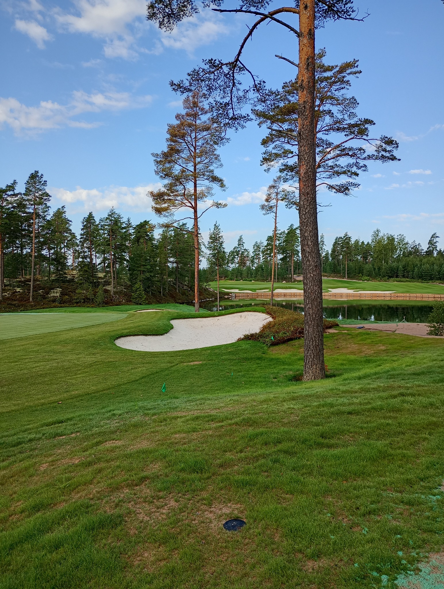 Pejzaż pola golfowego z piaskowymi bunkrami, zieloną trawą i wysokimi drzewami iglastymi, odbijającymi się w wodzie. Błękitne niebo z delikatnymi chmurami w tle.
