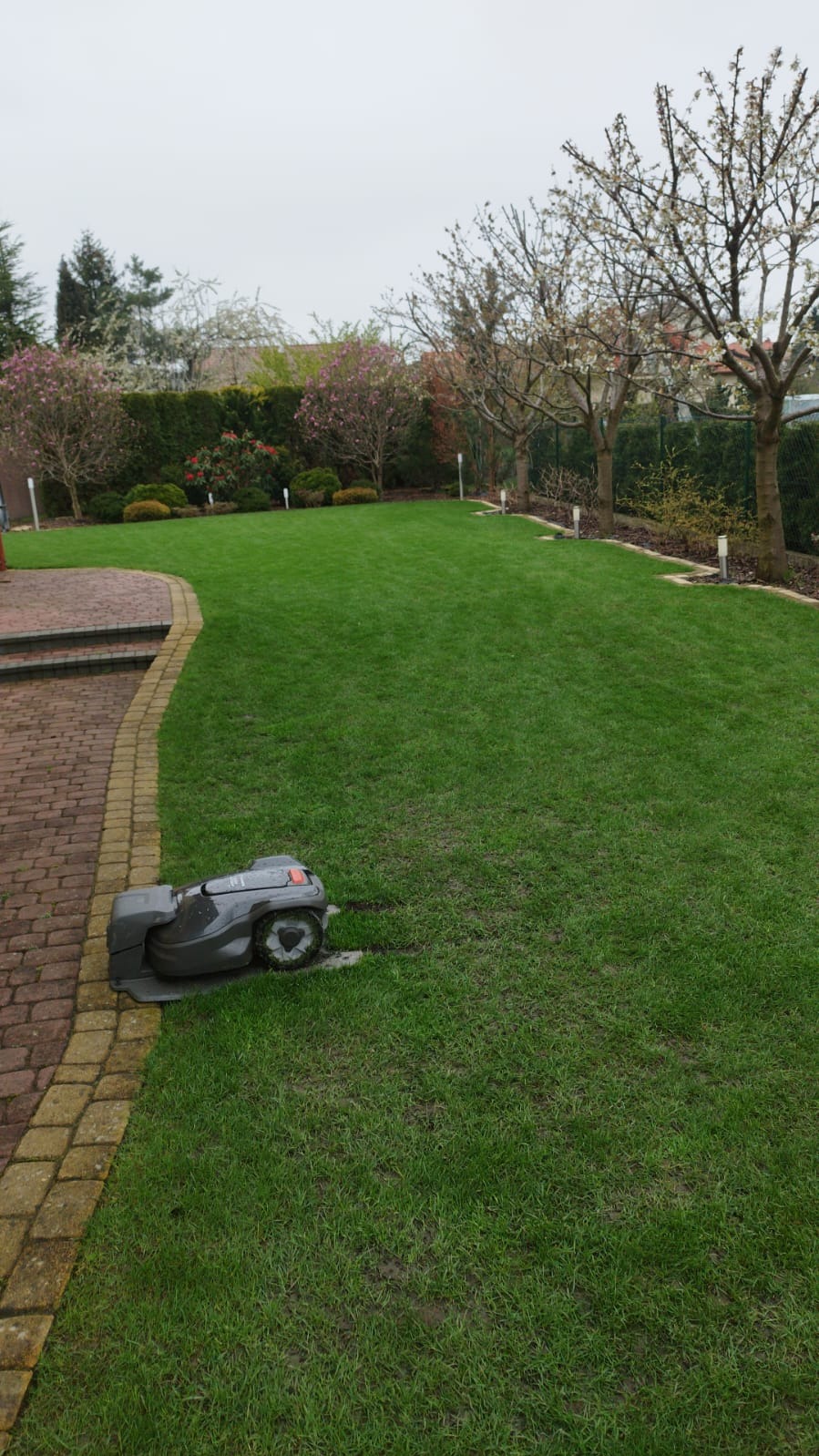 Robot koszący trawę na tle wypielęgnowanego, zielonego trawnika z kwitnącymi drzewami i krzewami. Widoczna kostka brukowa i oświetlenie ogrodowe.