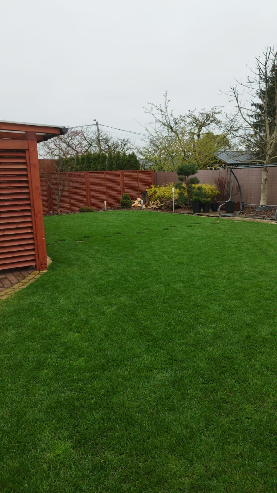 Zadbany trawnik z widocznymi śladami po aeracji, otoczony ozdobnymi krzewami i elementami architektury ogrodowej, takimi jak drewniana pergola i huśtawka.