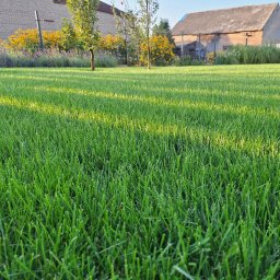 Hortus - Usługi Minikoparką Przystajń