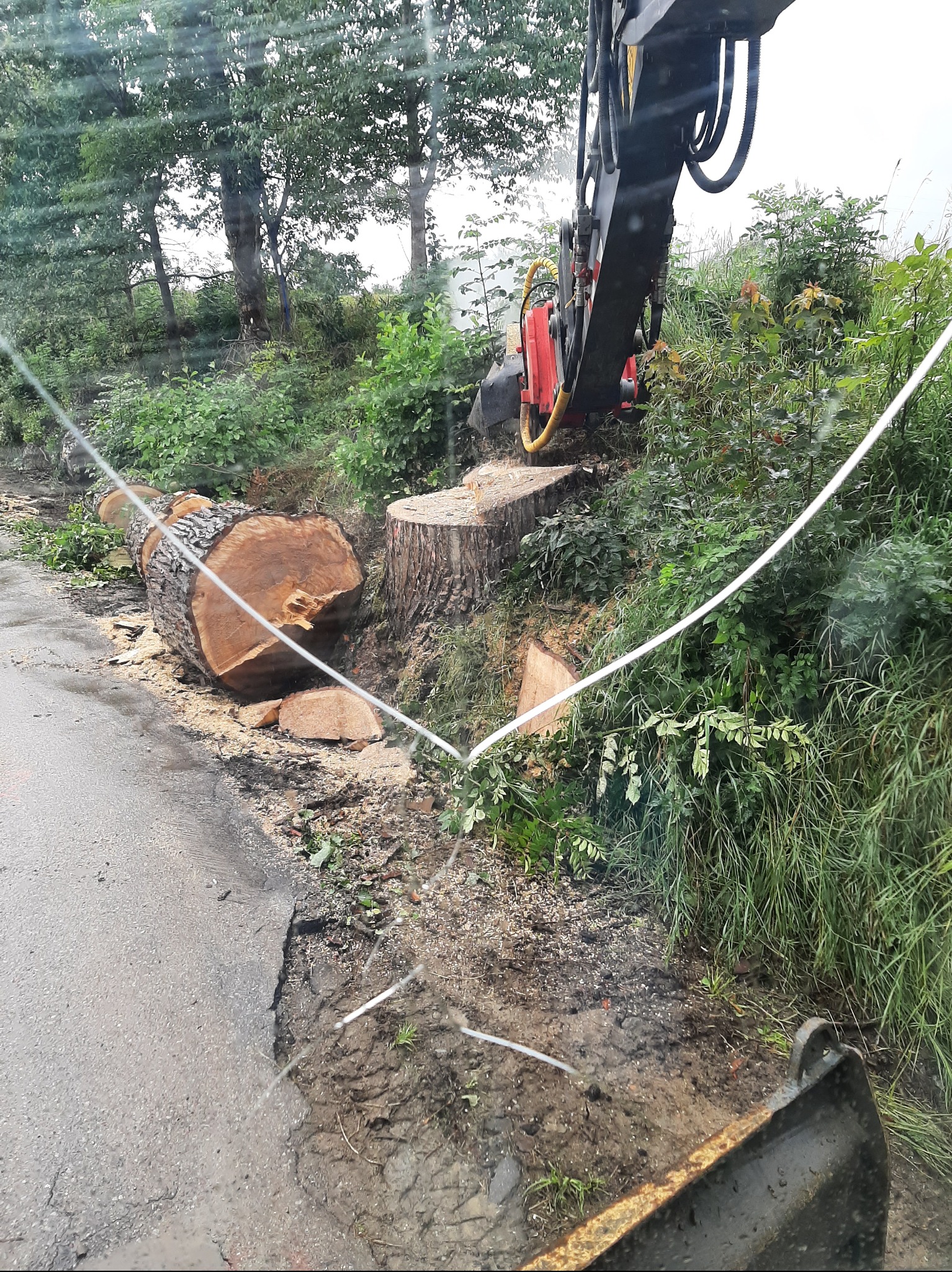 Cięcie drzewa przy drodze przez maszynę z głowicą tnącą. Ścięty pień i fragment pnia leżą na poboczu. Widok z perspektywy operatora maszyny przez szybę.