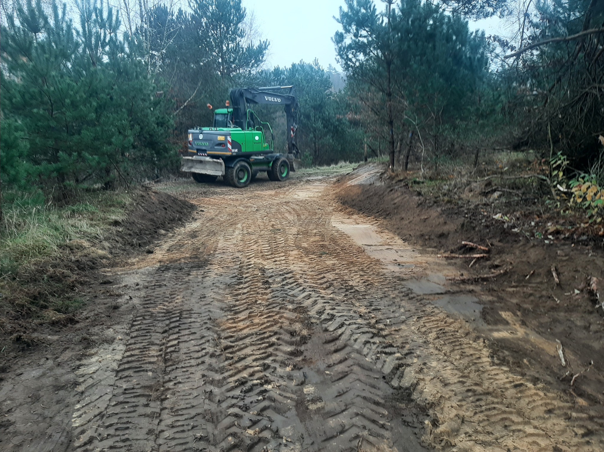Zielona koparka Volvo na leśnej drodze z widocznymi śladami opon, otoczona drzewami iglastymi. Ślady wskazują na niedawne prace ziemne.