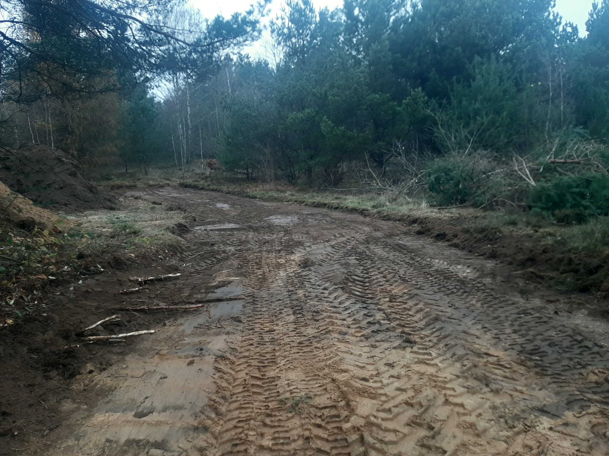 Utrudniona droga gruntowa po pracach ziemnych, ślady opon w błocie, widok na las w tle. Częściowo niwelacja terenu.