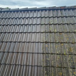 Washingservice - Częściowo wyczyszczona, brązowa dachówka z widocznym mchem i zabrudzeniami. Po lewej stronie dachówka jest czysta i mokra, po prawej brudna, ukazując efekt czyszczenia.