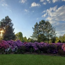 Pielęgnacja ogrodów Warszawa 4