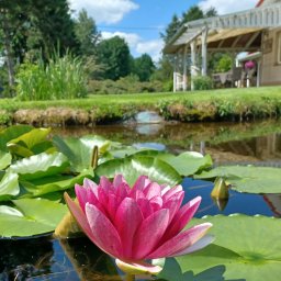 Pielęgnacja ogrodów Warszawa 3