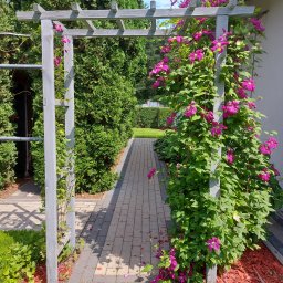 Pielęgnacja ogrodów Warszawa 2