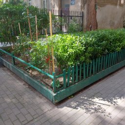 DEGO Group Sp. z o.o. - Ogródek z niską, zieloną rabatą otoczoną drewnianym płotkiem, widok z góry na tle ceglanej ścieżki i budynku. W tle drzewa i krzewy.