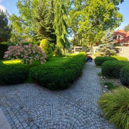 DEGO Group Sp. z o.o. - Żywopłot i ogród przed pracami pielęgnacyjnymi i przycinaniem