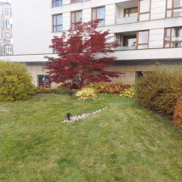 DEGO Group Sp. z o.o. - Ujęcie zadbanego ogrodu przed budynkiem z czerwonym klonem palmowym, krzewami i trawnikiem. W tle widoczny pracownik w trakcie pracy.