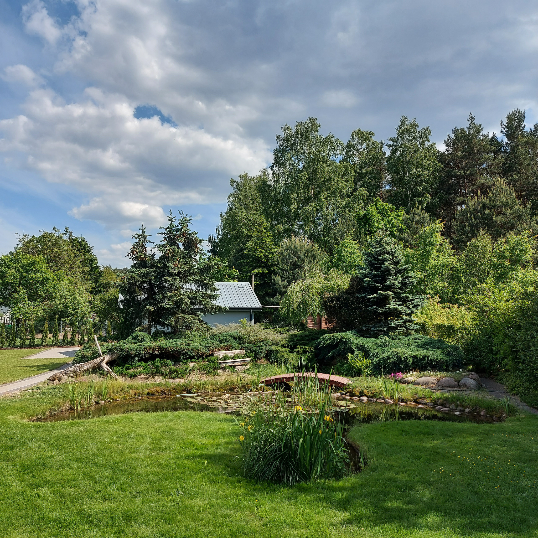 Ogród z oczkiem wodnym, mostkiem i bujną roślinnością. W tle widoczny budynek z szarym dachem. Całość skąpana w naturalnym świetle pod błękitnym niebem z chmurami.