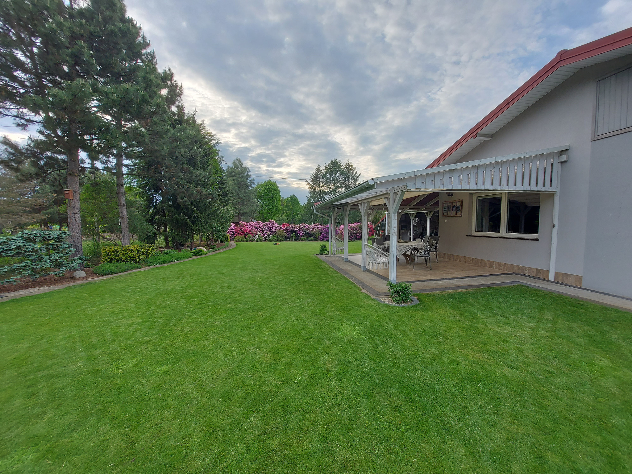 Zadbany trawnik przed domem z kwitnącymi różanecznikami w tle, widok na białą werandę i część domu w słoneczny dzień. Idealny, równo skoszony trawnik.