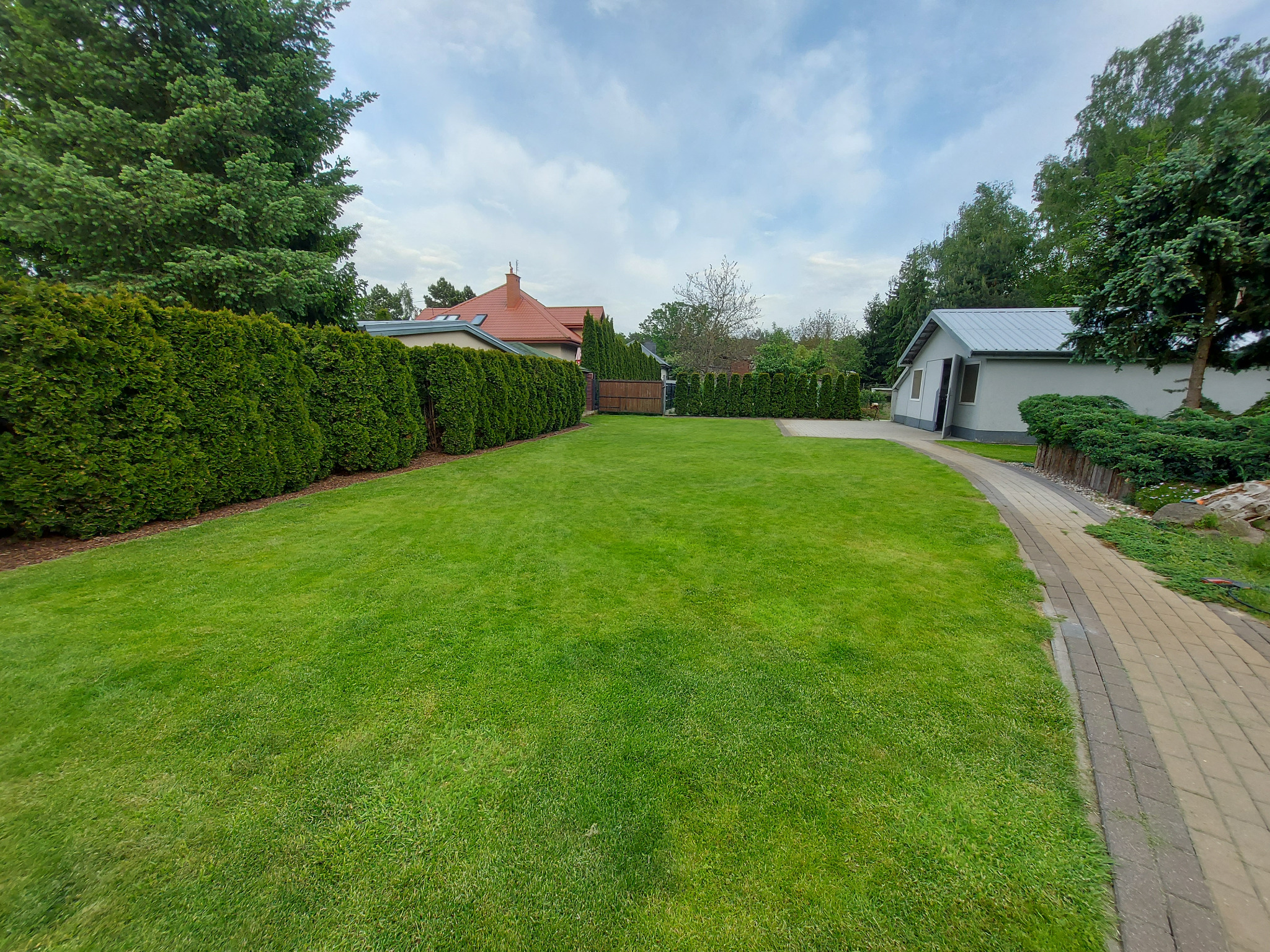 Zadbany trawnik z równo przyciętą trawą i żywopłotem z tui, widok z poziomu gruntu, w tle budynek gospodarczy i dom z czerwoną dachówką, pochmurne niebo.