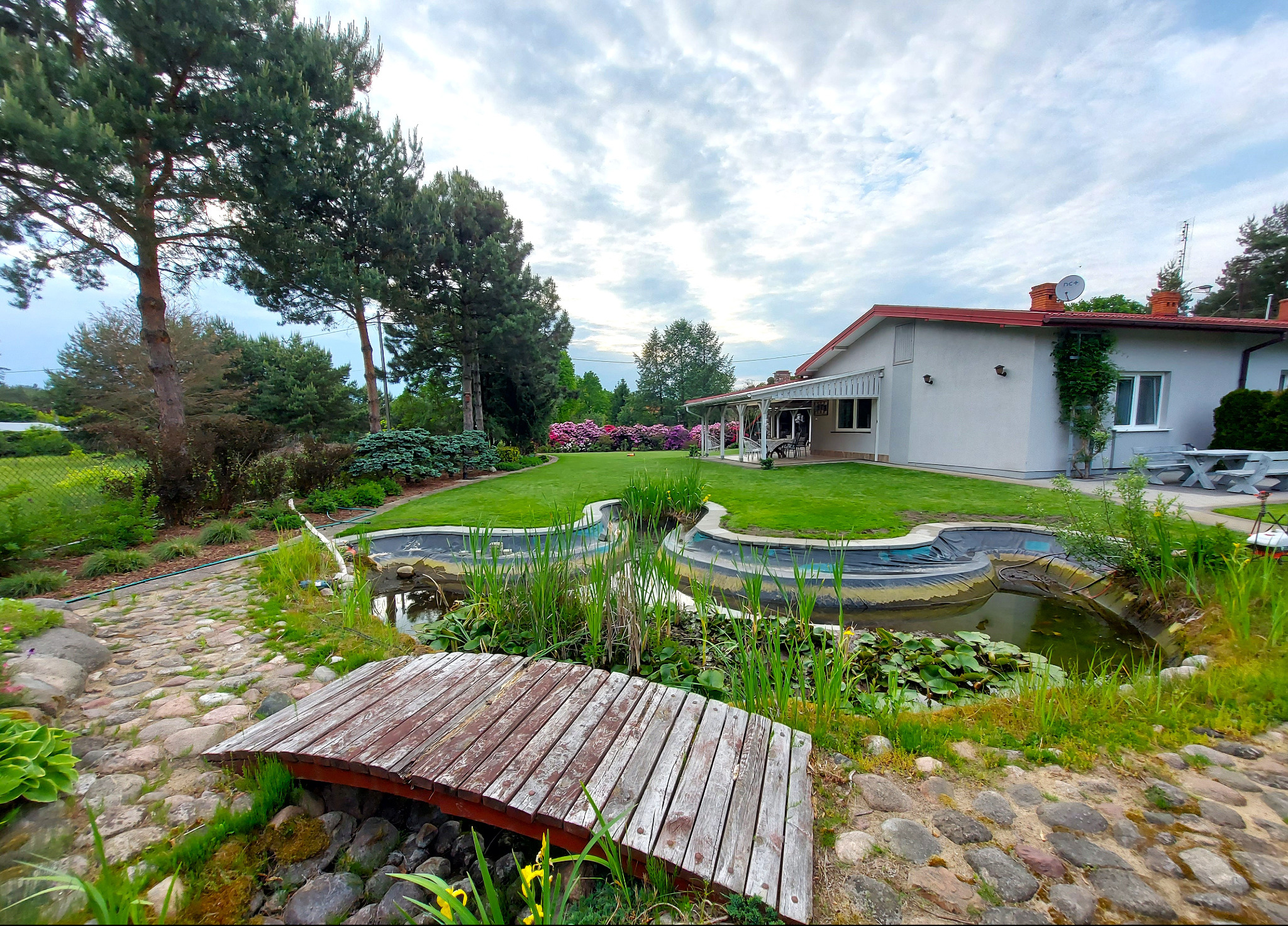 Ogród z oczkiem wodnym i drewnianym mostkiem na pierwszym planie, w tle dom z zadbanym trawnikiem i rabatami kwiatowymi, pochmurne niebo.