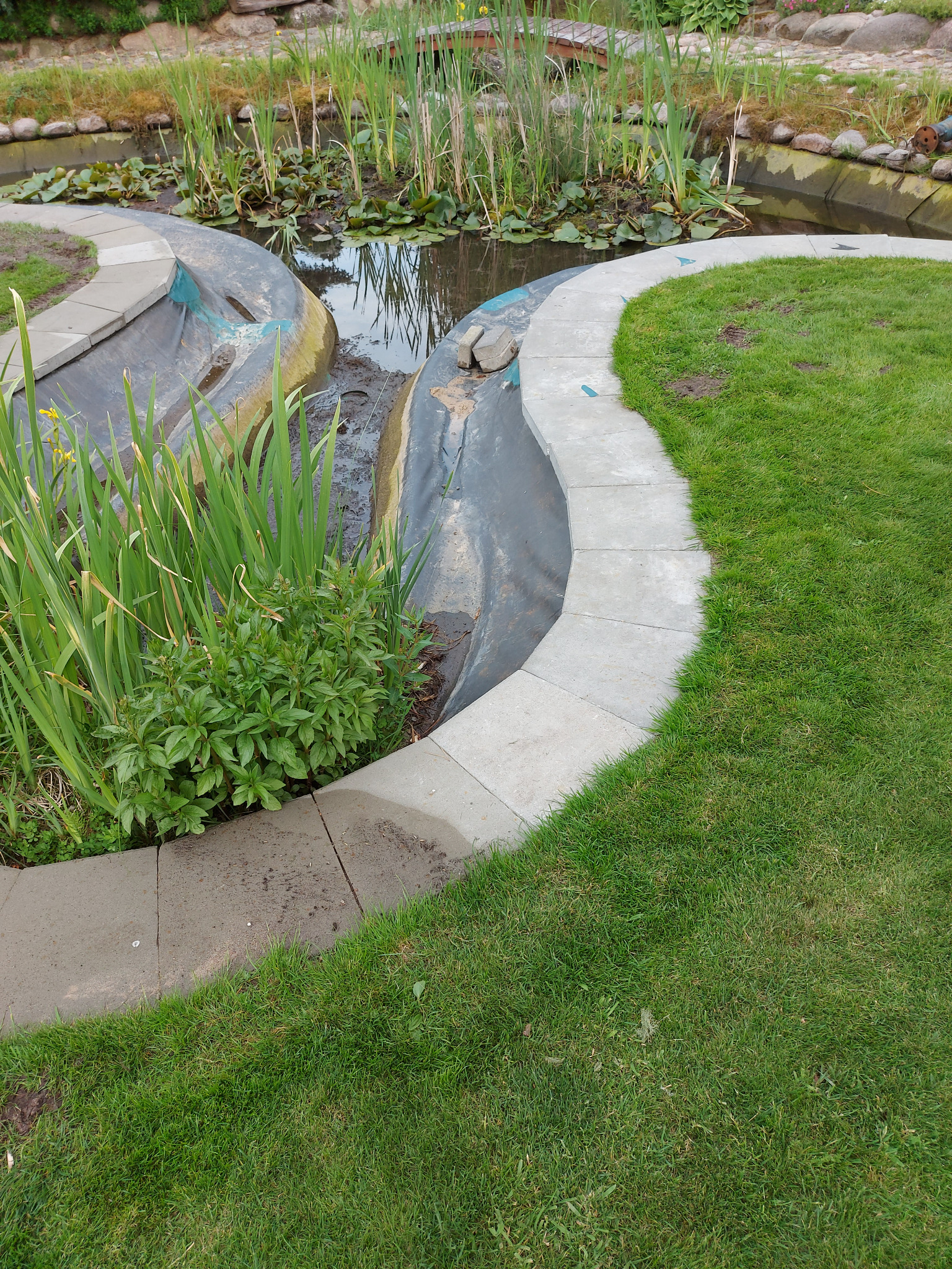 Oczko wodne w ogrodzie z kamiennymi brzegami, otoczone zielonym trawnikiem i roślinnością wodną. Widoczny fragment drewnianego mostku w tle.