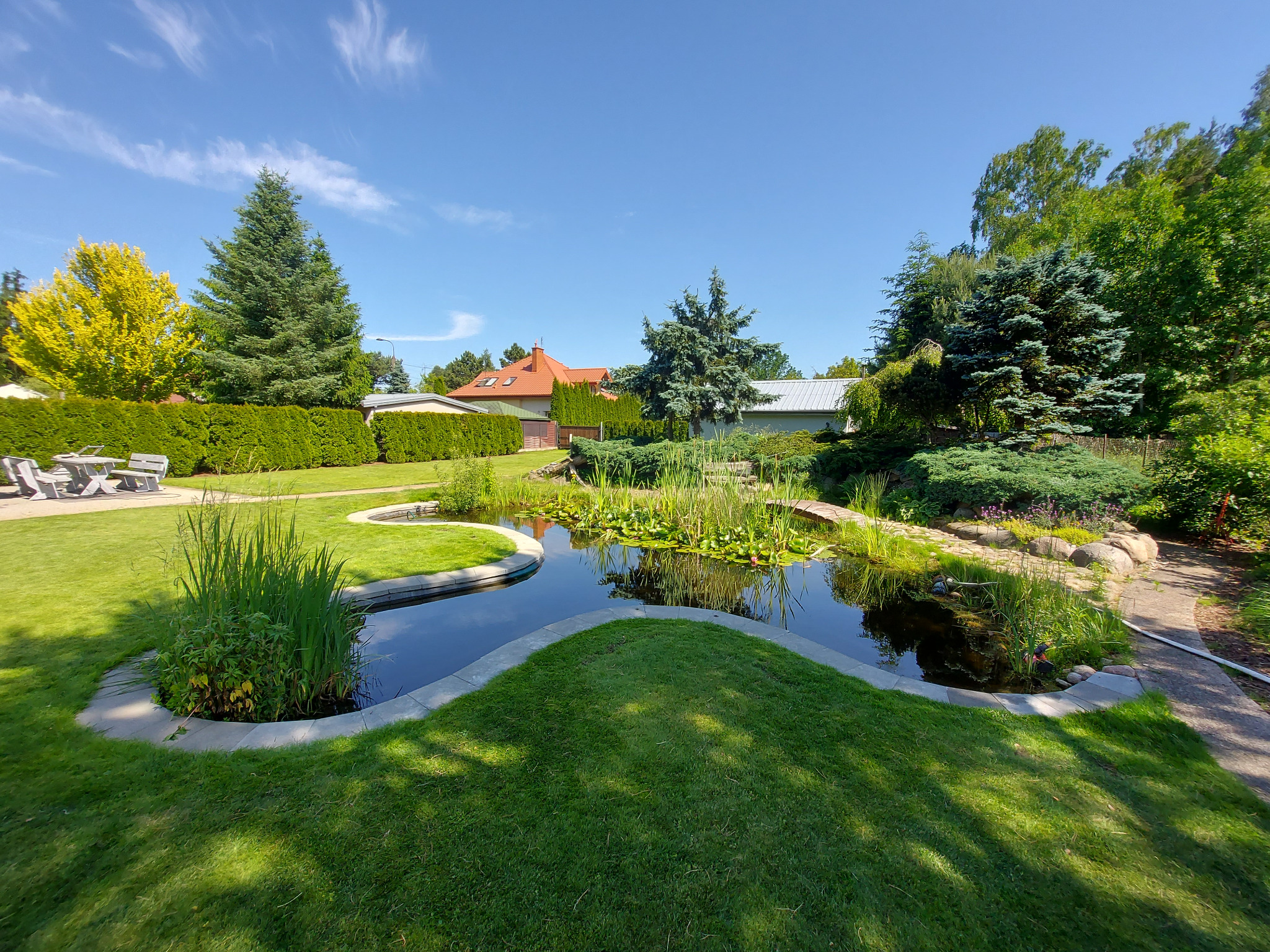 Oczko wodne z roślinami wodnymi i ozdobnymi trawami, otoczone zielonym trawnikiem i kamienną obudową. W tle widoczne drzewa iglaste i liściaste oraz budynek.
