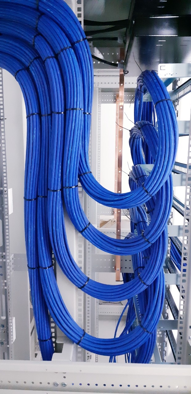 Równolegle ułożone, niebieskie przewody elektryczne spięte czarnymi opaskami w szafie sterowniczej z szyną uziemiającą. Estetyczny układ kabli.