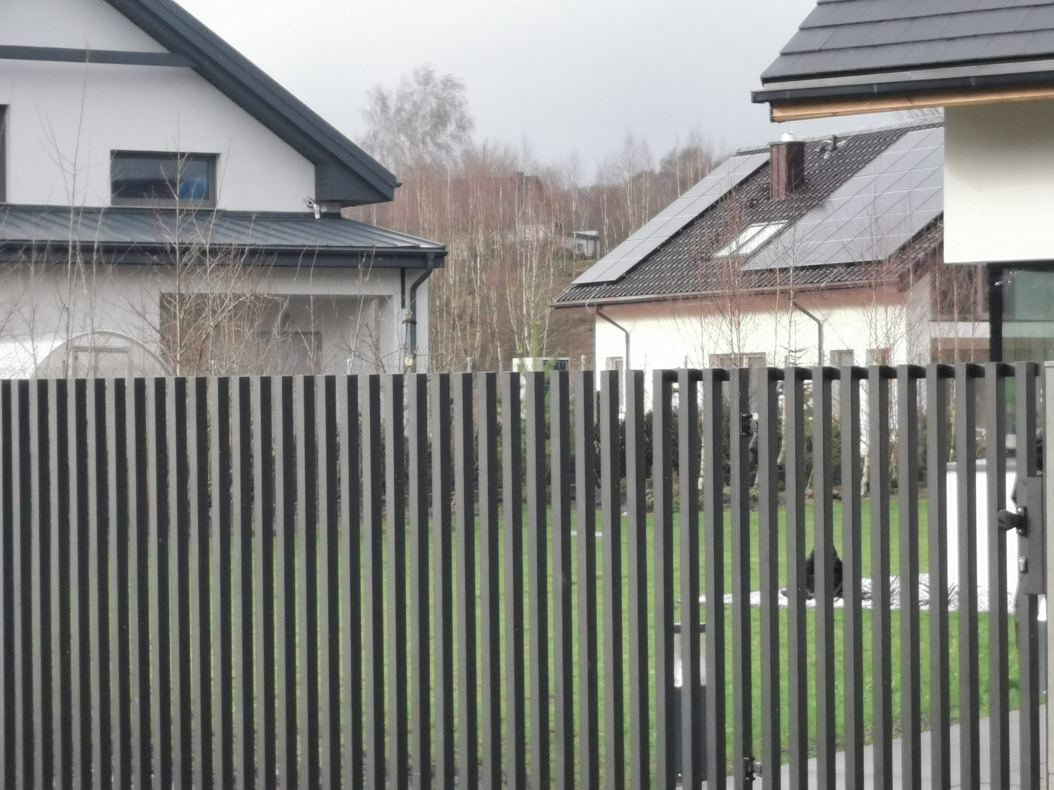 Nowoczesne ogrodzenie metalowe z pionowych profili, na tle dwóch domów jednorodzinnych z panelami fotowoltaicznymi, widok z zewnątrz posesji w pochmurny dzień.