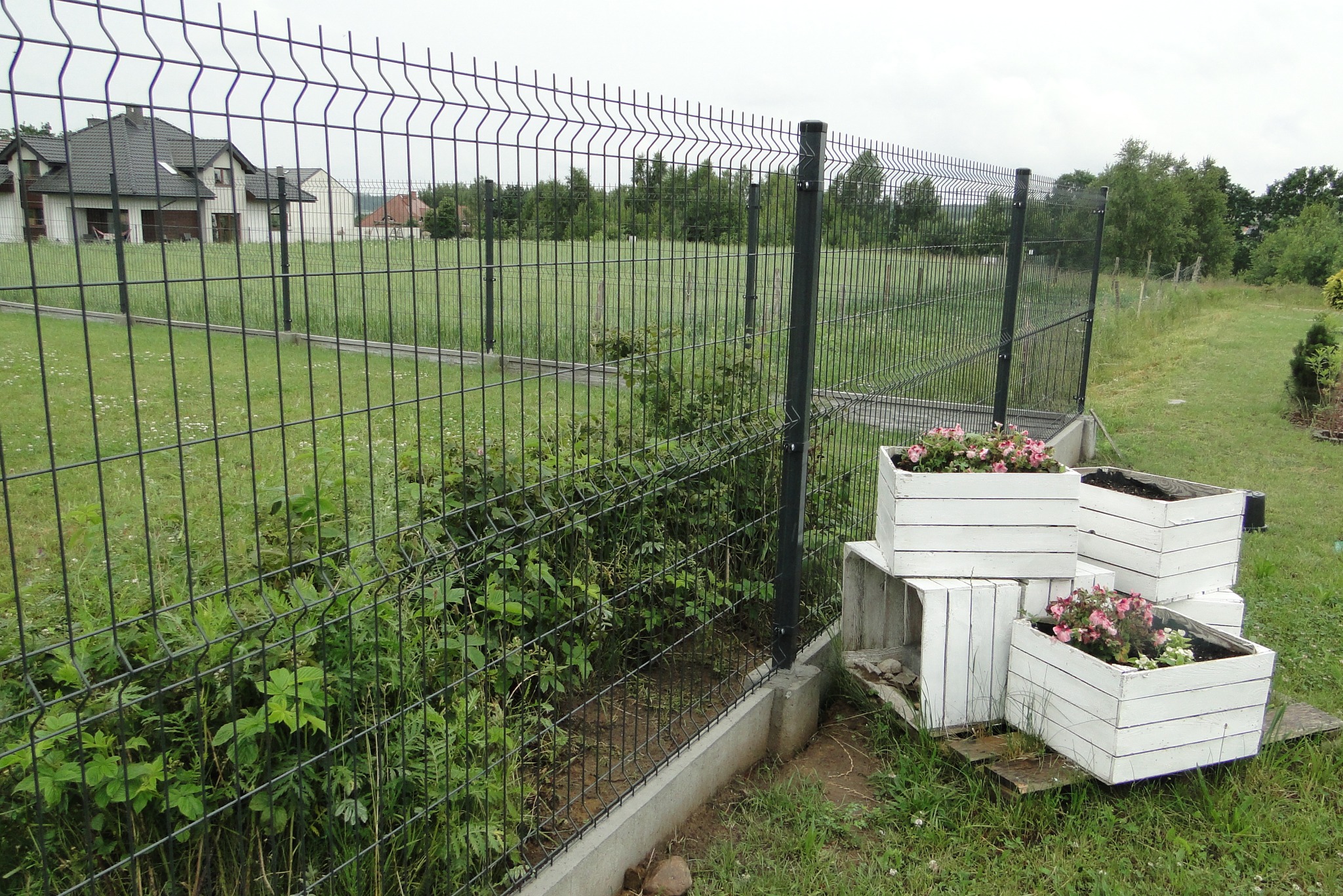 Nowoczesne ogrodzenie panelowe w kolorze grafitowym, z podmurówką betonową. W tle dom i zieleń. Na pierwszym planie białe donice z kwiatami.