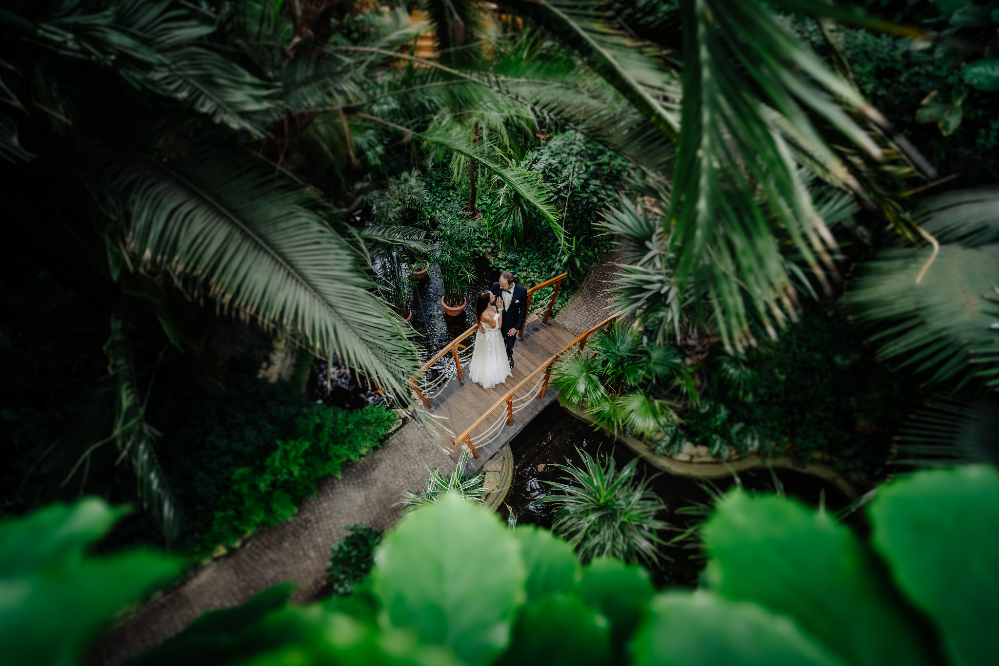 Para młoda na drewnianym mostku w tropikalnym ogrodzie botanicznym, ujęcie z góry z efektem tilt-shift, podkreślającym intymność chwili.