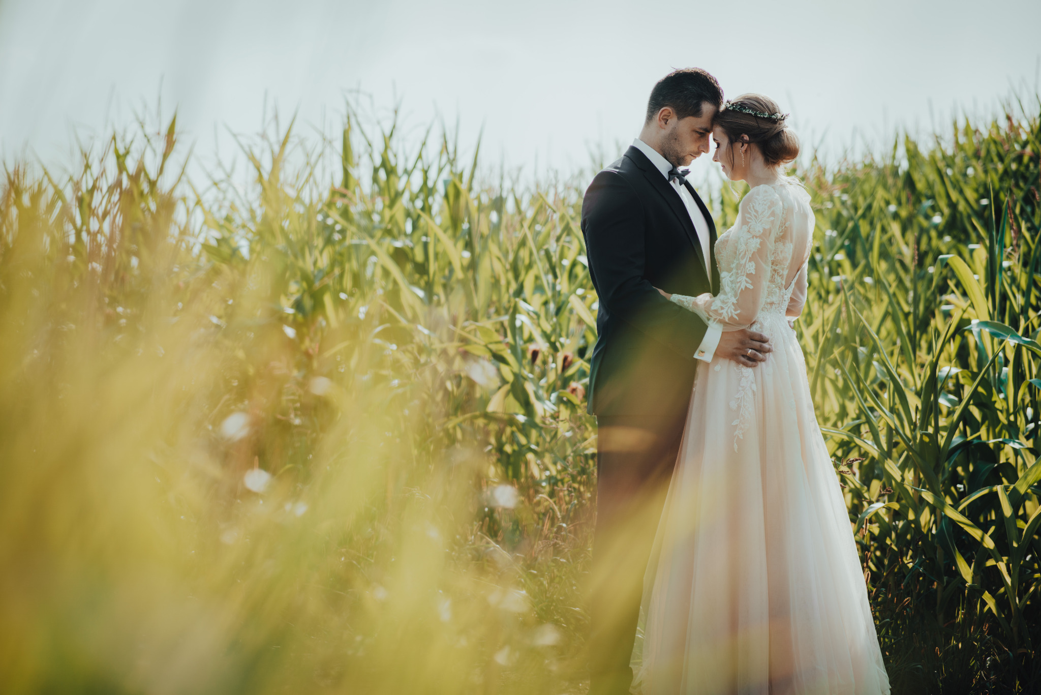 Para młoda w objęciach na tle pola kukurydzy w słoneczny dzień. Panna młoda w koronkowej sukni, pan młody w smokingu. Romantyczna sesja plenerowa.