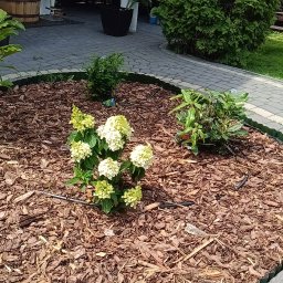 Twój Ogrodnik - Roboty Ziemne Bydgoszcz