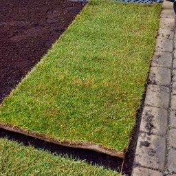 Zakładanie ogrodów Piaseczno 4