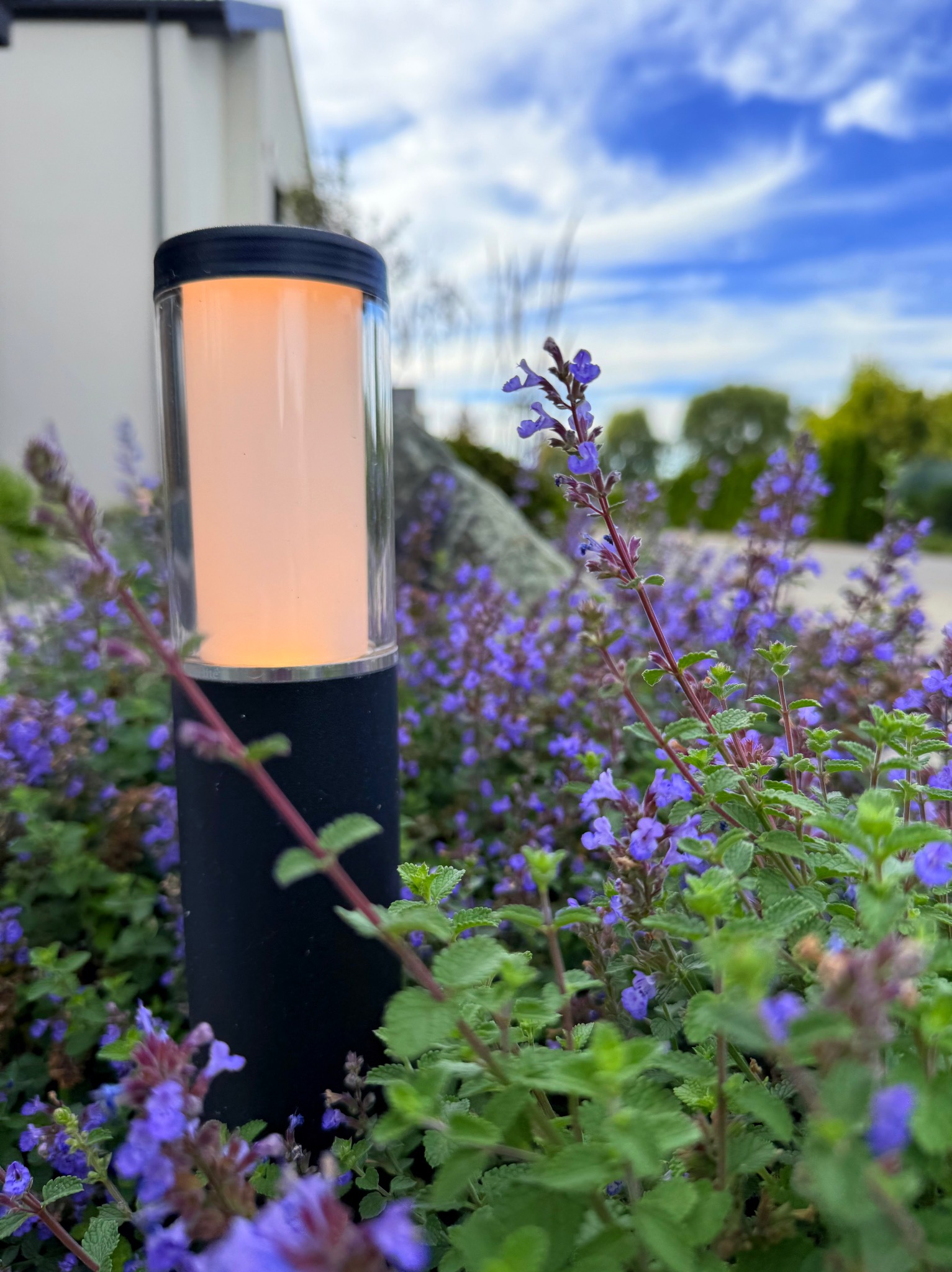 Oświetlenie ogrodowe: nowoczesna lampa w kształcie walca, otoczona fioletowymi kwiatami, na tle błękitnego nieba z chmurami. Subtelne światło lampy dodaje uroku kompozycji.