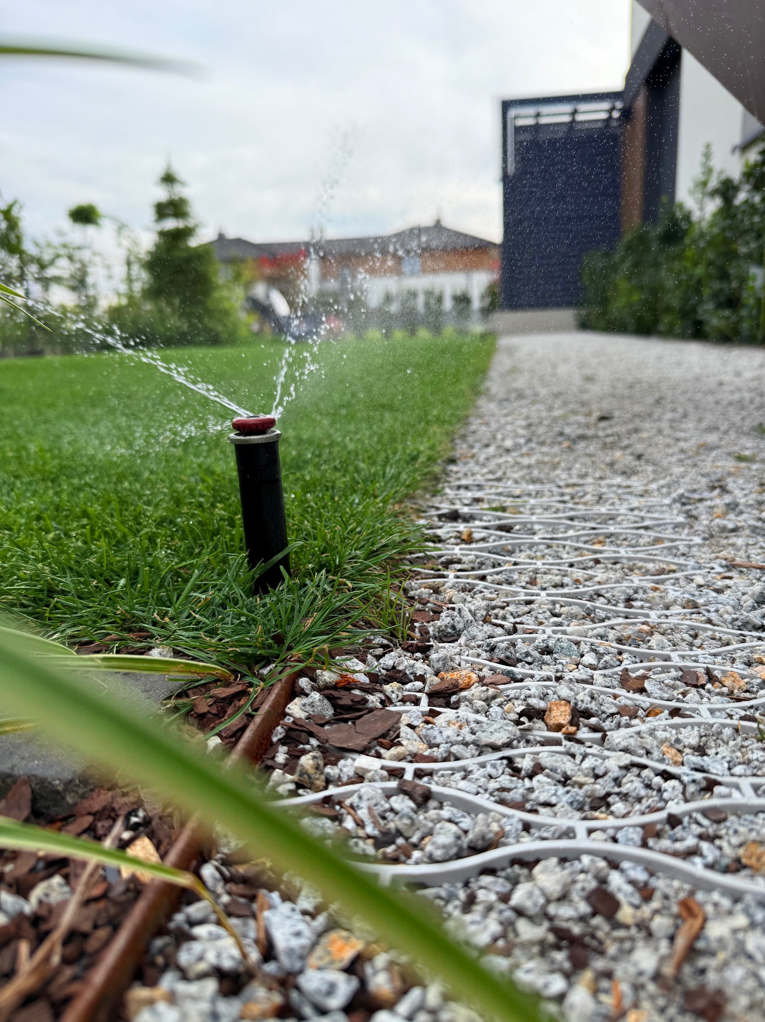 Działający zraszacz wynurzalny nawadnia trawnik, obok ścieżka z kamienia stabilizowana kratką. Widok z bliska na granicy trawnika i ścieżki, w tle zabudowa.
