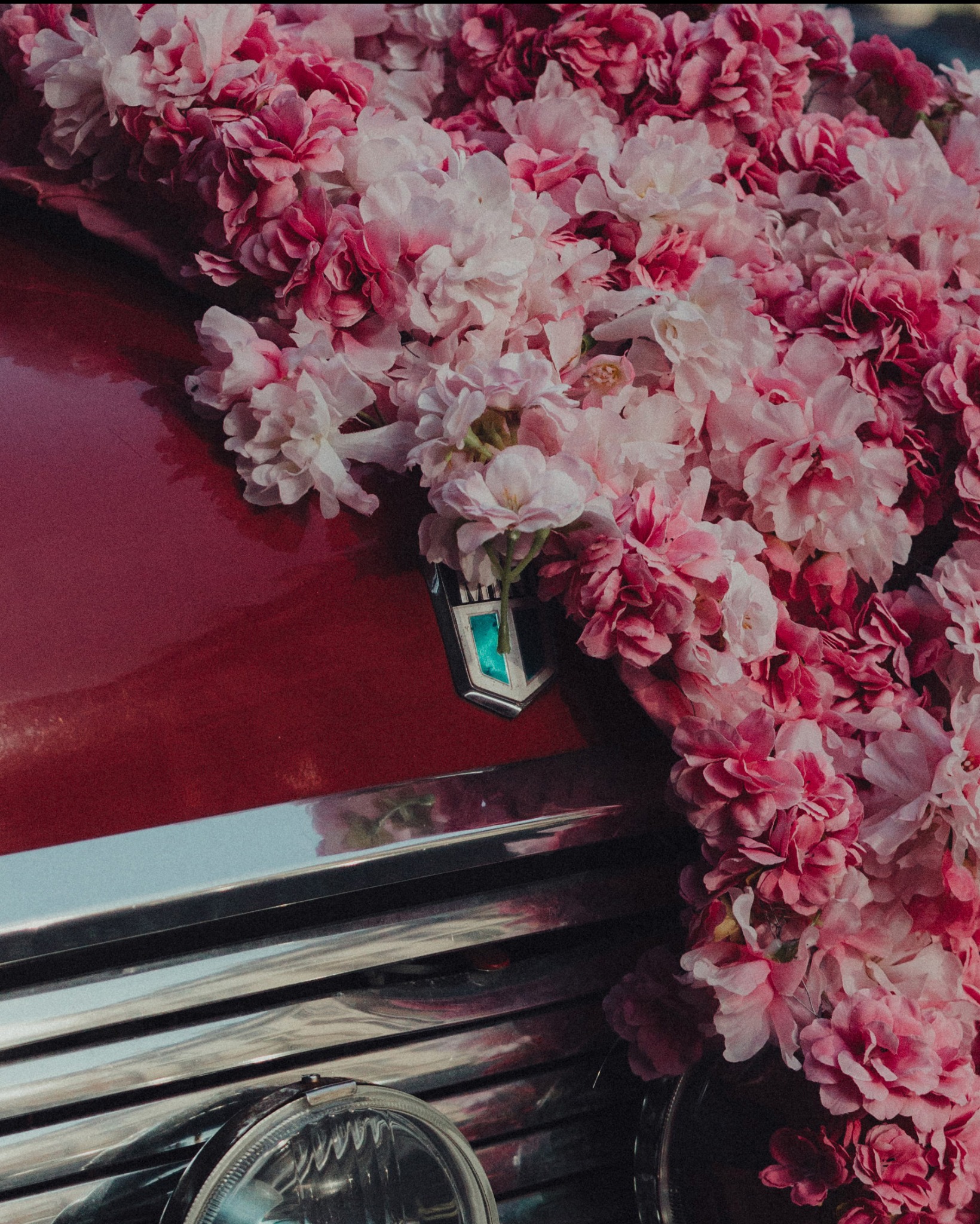 Czerwony, zabytkowy samochód udekorowany girlandą z różowych kwiatów, zbliżenie na maskę i reflektor. Chromowane elementy i logo marki.