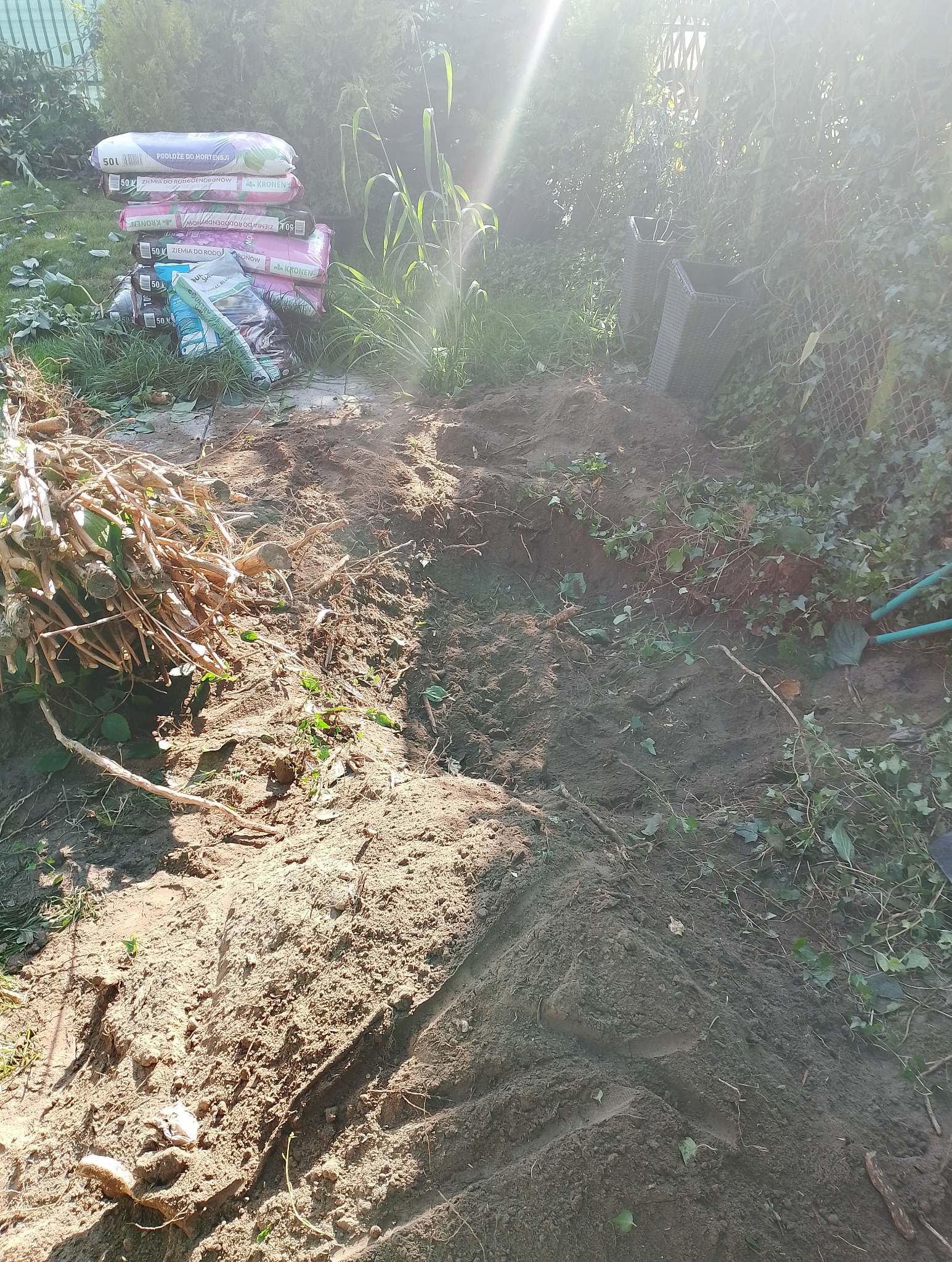 Przygotowany teren pod nasadzenia: wykopana ziemia, obok worki z podłożem do hortensji i rododendronów, widoczne narzędzia ogrodnicze i pozostałości po wycince.