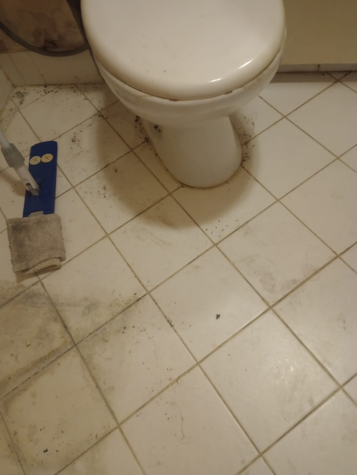 Zanieczyszczona toaleta z mopem na podłodze z płytek. Widoczne zabrudzenia na fugach i powierzchniach, co sugeruje potrzebę gruntownego czyszczenia.