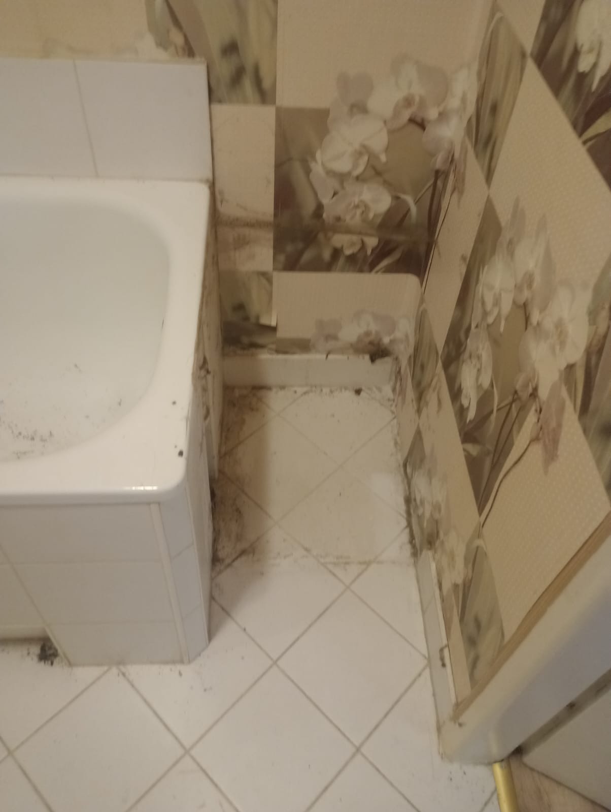 Zaniedbana łazienka z widocznym brudem i pleśnią na fugach, ścianach i wannie, wymagająca gruntownego czyszczenia. Widok z góry.