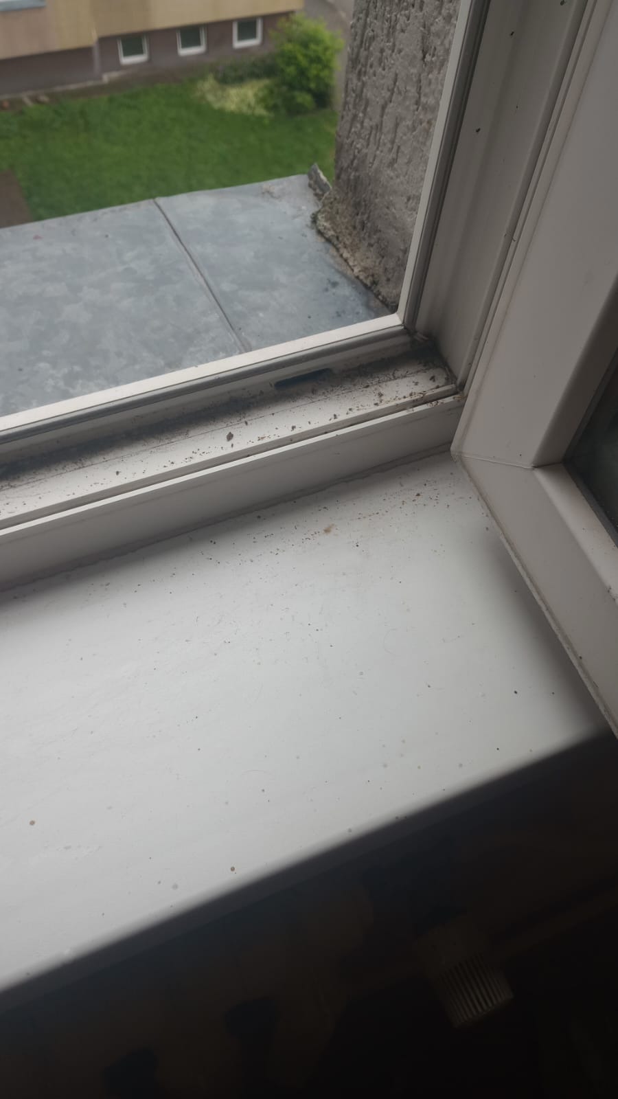 Brudny, biały parapet okienny z widocznymi smugami kurzu i zabrudzeniami, z zewnątrz widok na zieleń i budynek. Okno wymaga dokładnego umycia i odkurzenia.
