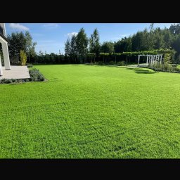 Koszenie trawy Łódź 1