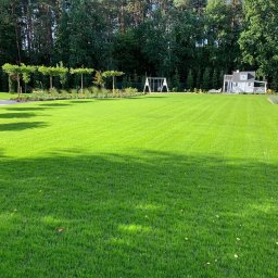 Koszenie trawy Łódź 3