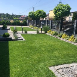 Mateusz Piotrowski - Zadbany trawnik z równo przystrzyżoną trawą, obrzeżami z kamienia i ozdobnymi drzewami w tle, oświetlony słońcem. Widoczne elementy architektury ogrodowej.