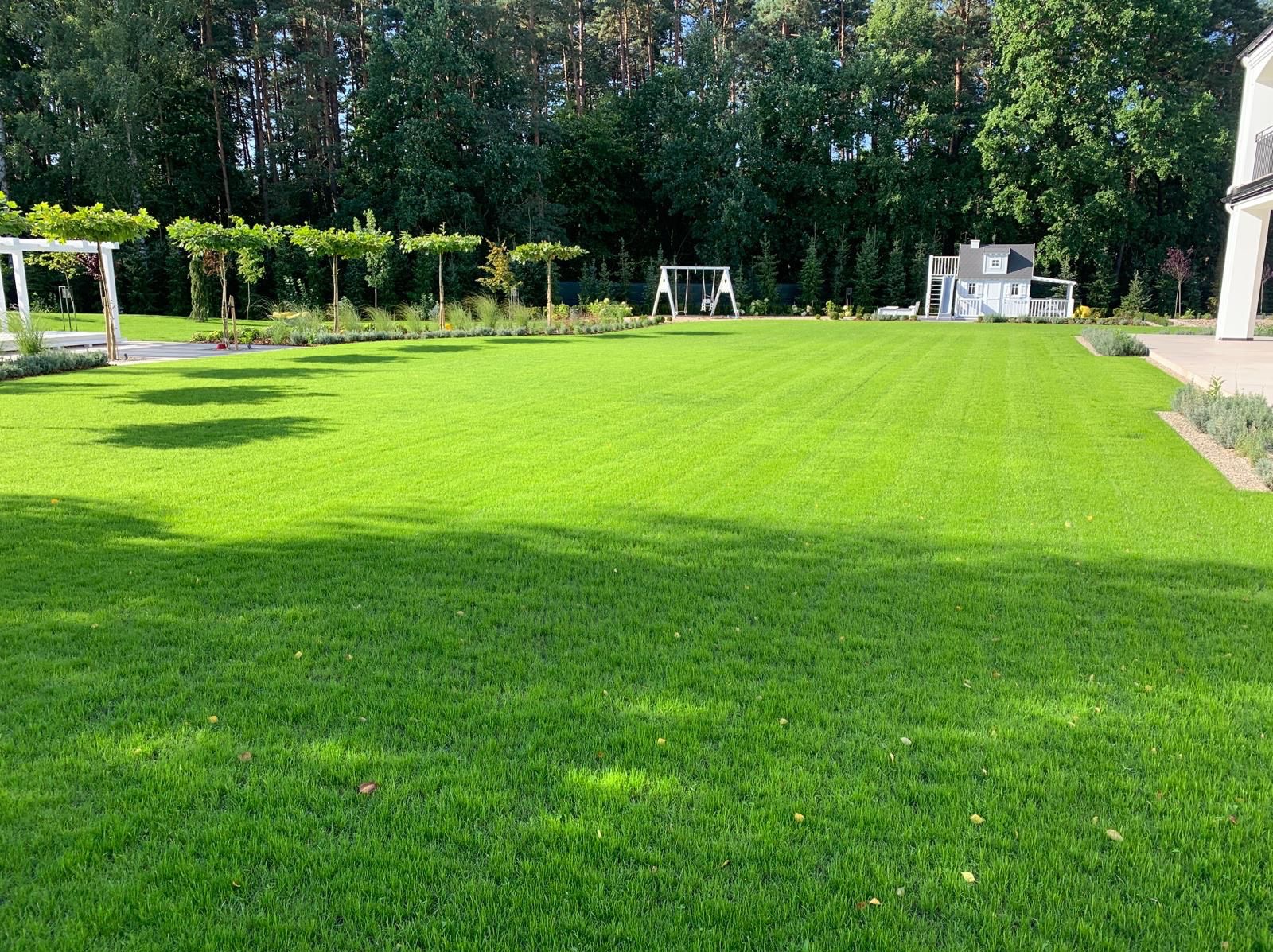 Zadbany trawnik z równo przystrzyżoną trawą, drzewami i elementami architektury ogrodowej w tle. Widoczne ślady koszenia, sugerujące niedawne prace.