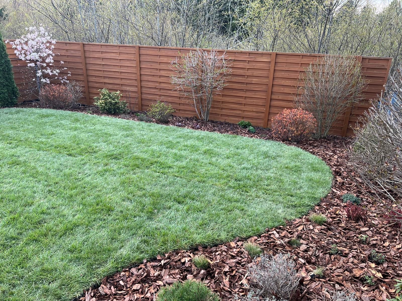 Zadbany trawnik z równo przyciętą trawą, obrzeża wyłożone korą drzewną, w tle drewniany płot lamelowy i nasadzenia krzewów. Widok na ogród po pielęgnacji.