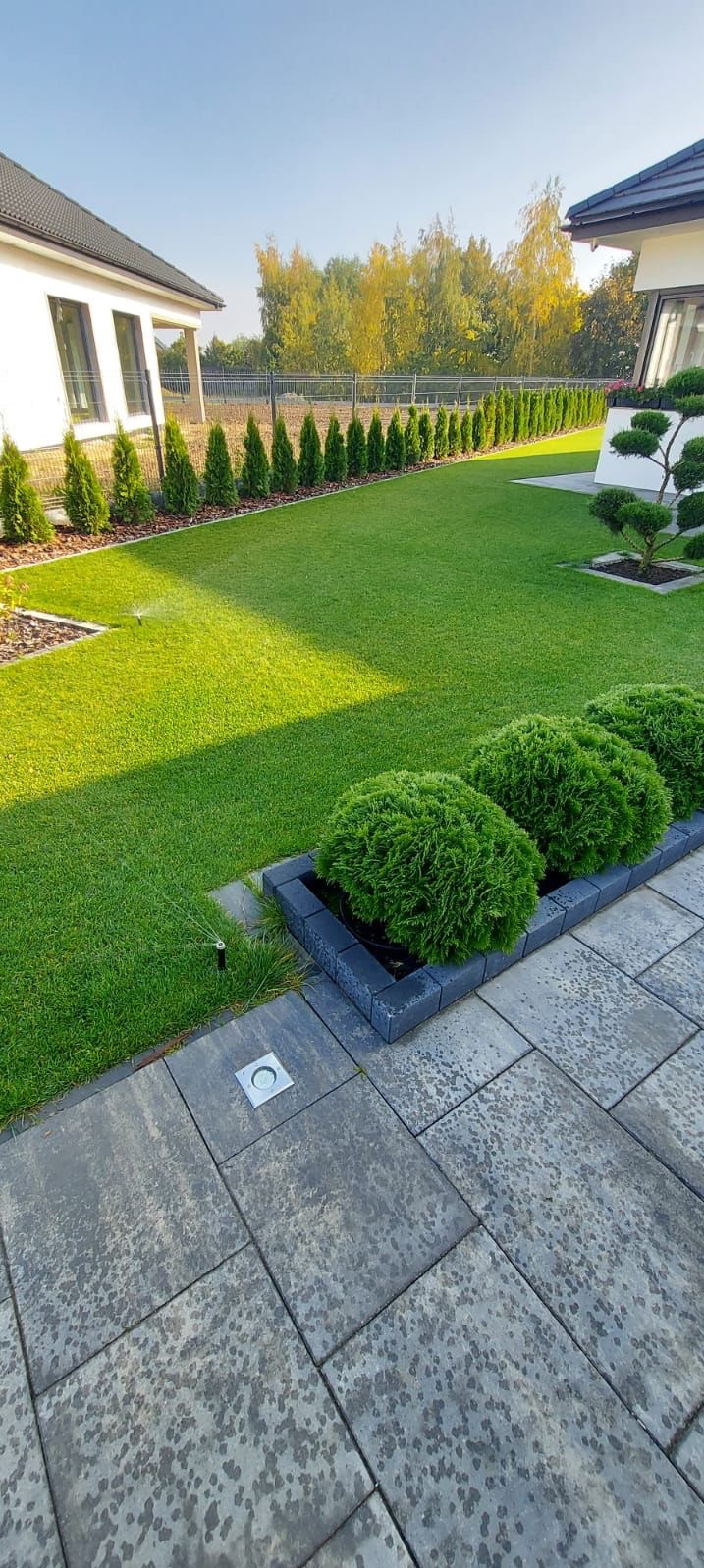 Zadbany ogród z równo przystrzyżonym trawnikiem, ozdobnymi krzewami w kamiennych obrzeżach i systemem nawadniania, oświetlony światłem słonecznym.