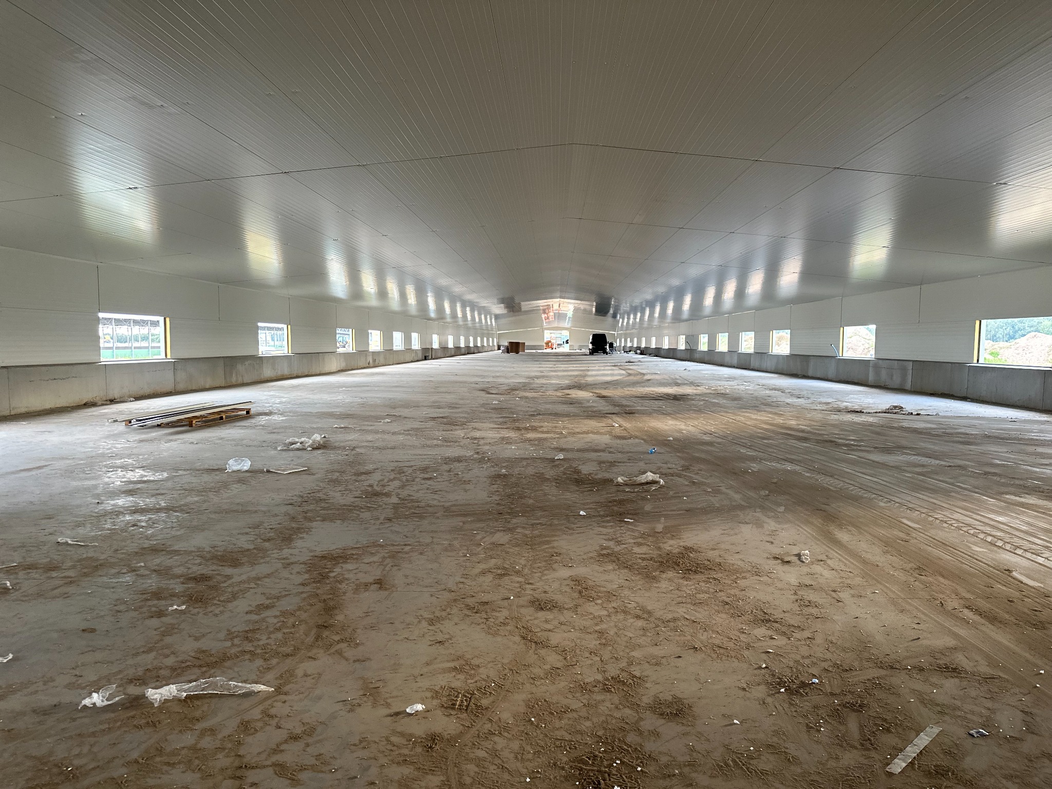 Wnętrze hali z białymi ścianami i dachem z płyt warstwowych. Widoczne okna i betonowa posadzka z zabrudzeniami. Perspektywa z głębi hali.