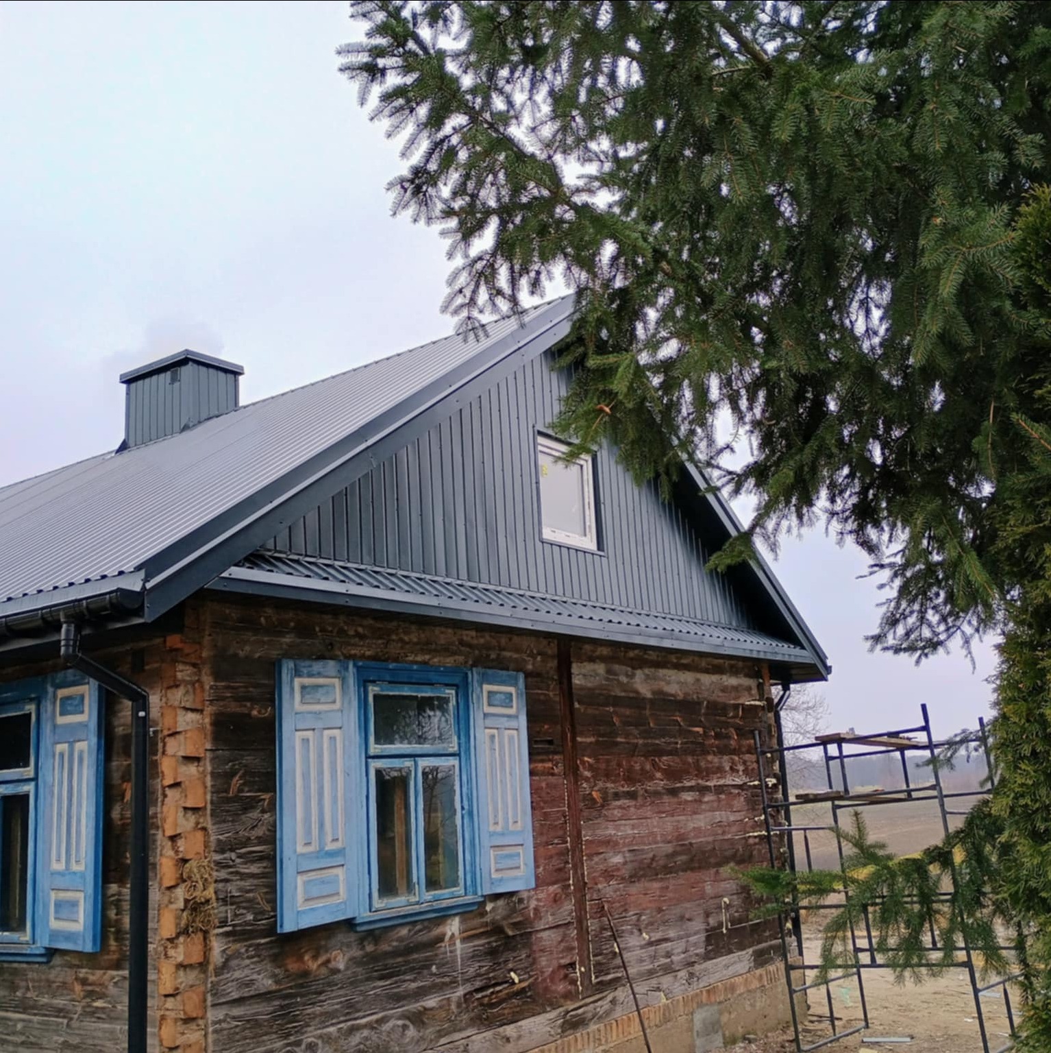 Dom z ciemnoszarą, metalową blachodachówką i niebieskimi okiennicami; widoczne rynny i drabina. Częściowo zasłonięty przez drzewo iglaste.