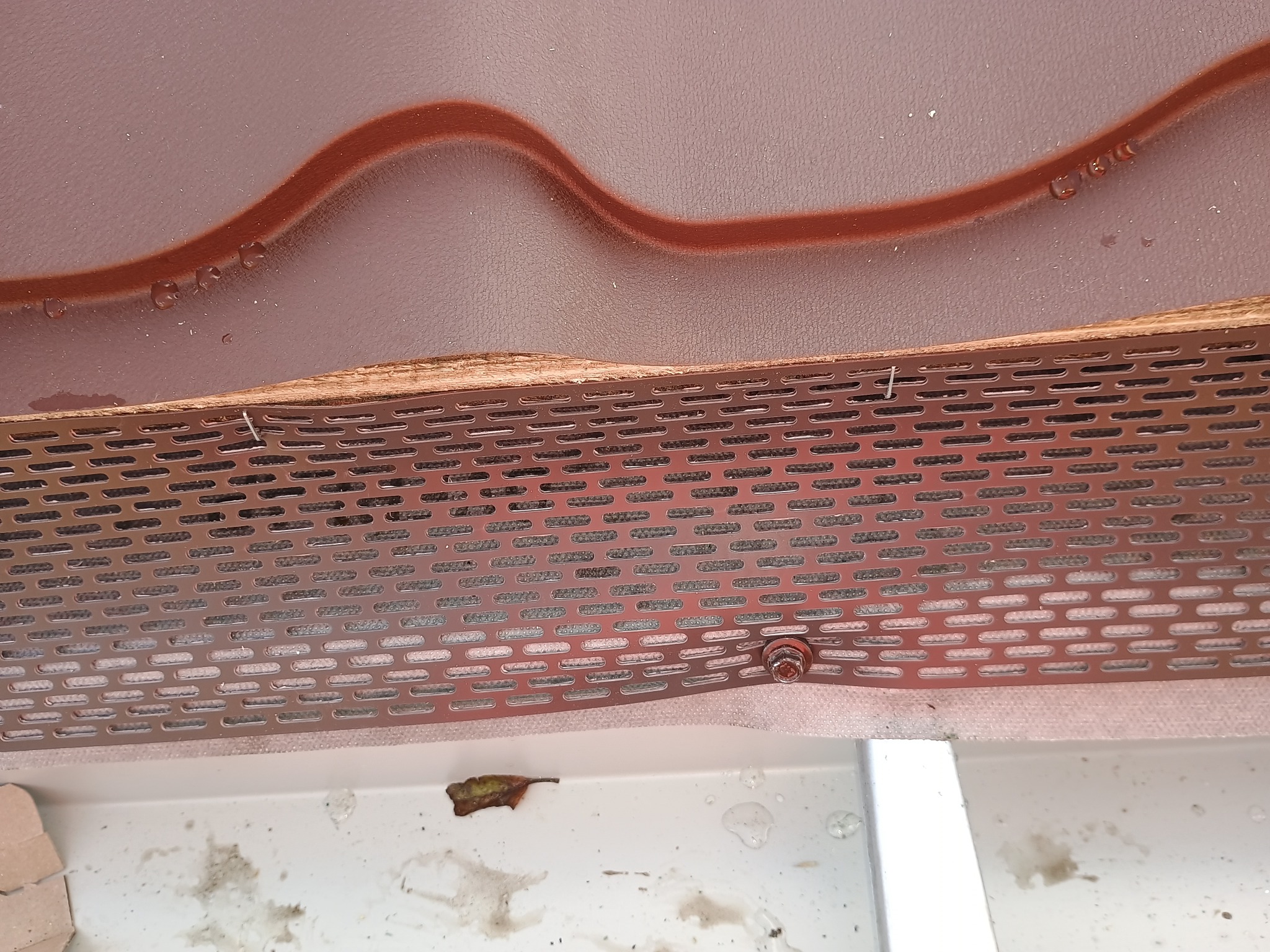 Zamontowana perforowana osłona rynny pod brązową dachówką, zabezpieczająca przed liśćmi i zanieczyszczeniami. Widoczna biała rynna z drobnymi zabrudzeniami.