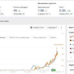 SEO - przykłady efektów klienta