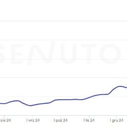 SEO - przykłady efektów klienta SENUTO