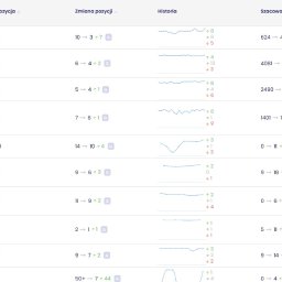 SEO wzrosty fraz SENUTO