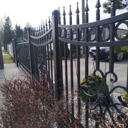MONISTAL Jakub Janowski - Eleganckie, kute ogrodzenie w kolorze grafitowym, z dekoracyjnymi elementami roślinnymi i geometrycznymi, oddziela posesję od ulicy. W tle widoczny samochód.