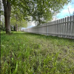 Długi, biały płot sztachetowy rozciąga się wzdłuż trawnika, widziany z niskiej perspektywy, z drzewami i błękitnym niebem w tle.