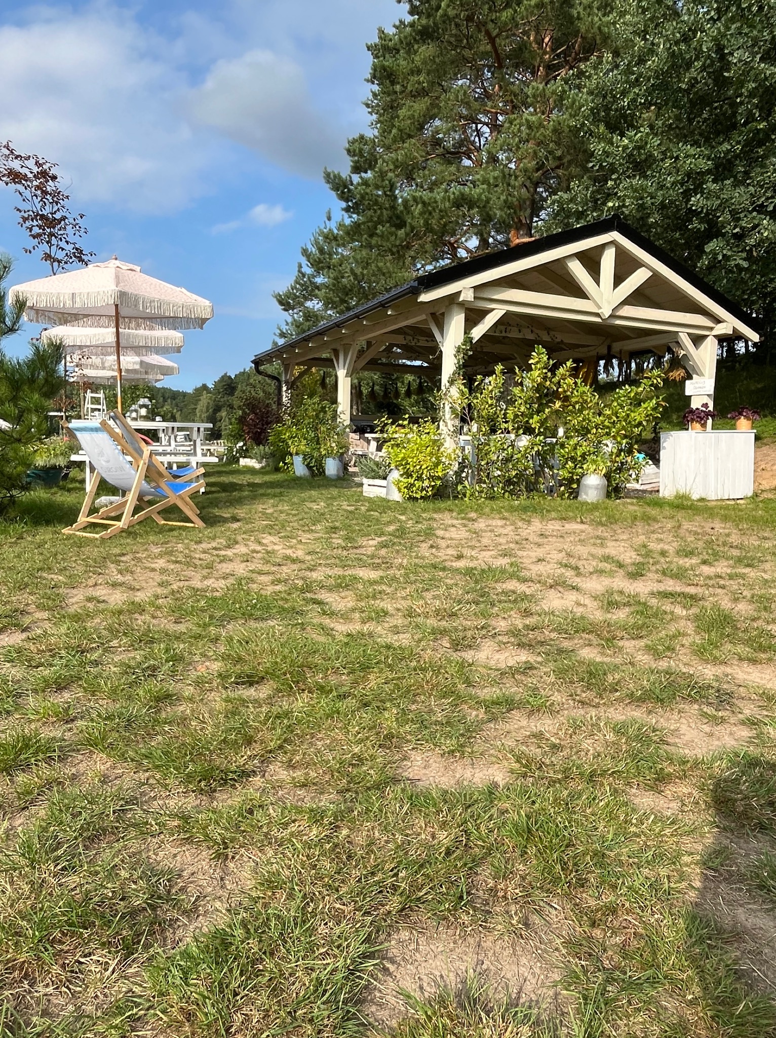 Jasna, drewniana altana z roślinami, parasole ogrodowe i leżaki na trawniku. Widok na ogród w słoneczny dzień.