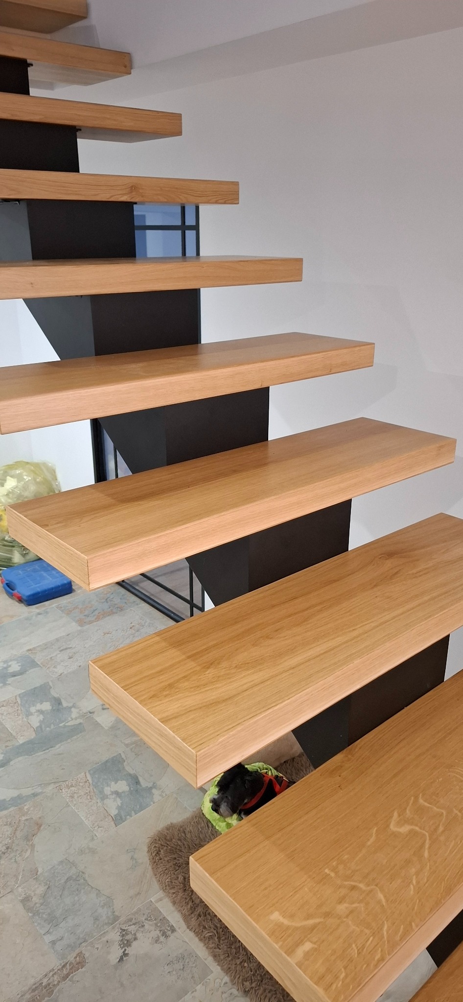 Nowoczesne schody z drewnianymi stopniami i czarną, metalową konstrukcją nośną. Widok z dołu, ukazujący detale wykończenia i minimalistyczny design. Pod schodami leży pies.